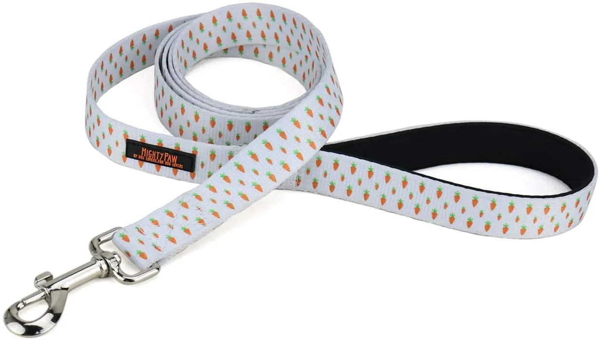 Festive 6-Foot Easter Dog Leash with Durable Hardware