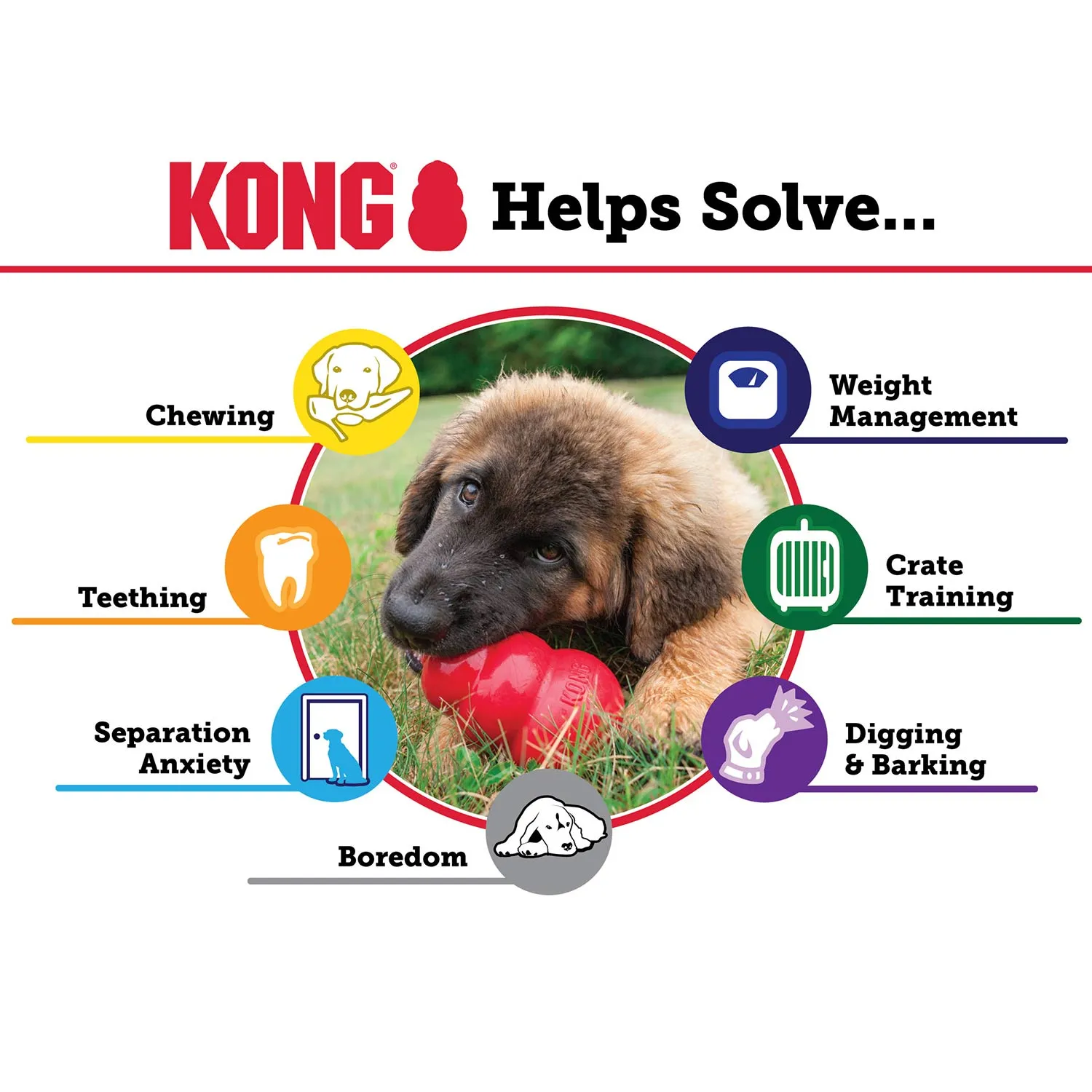 KONG Classic Dog Toy