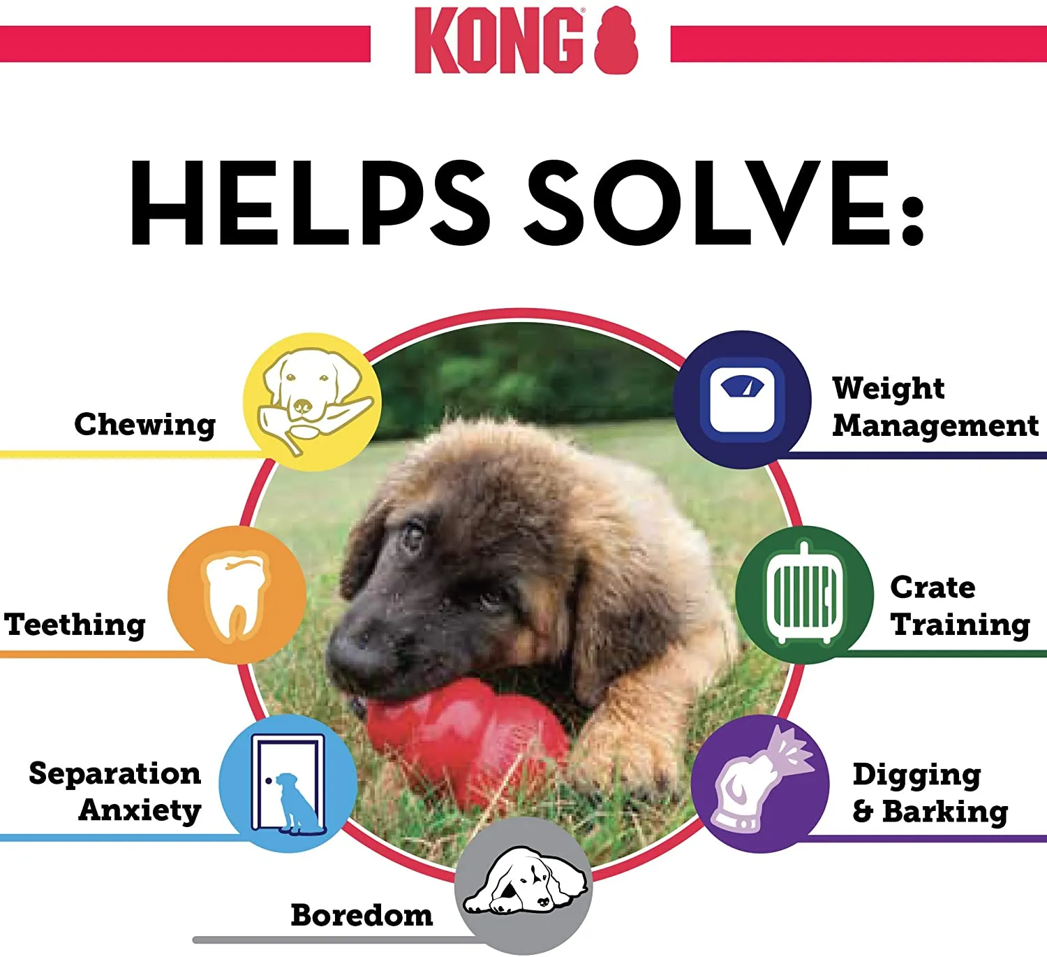 KONG - Puppy Kong