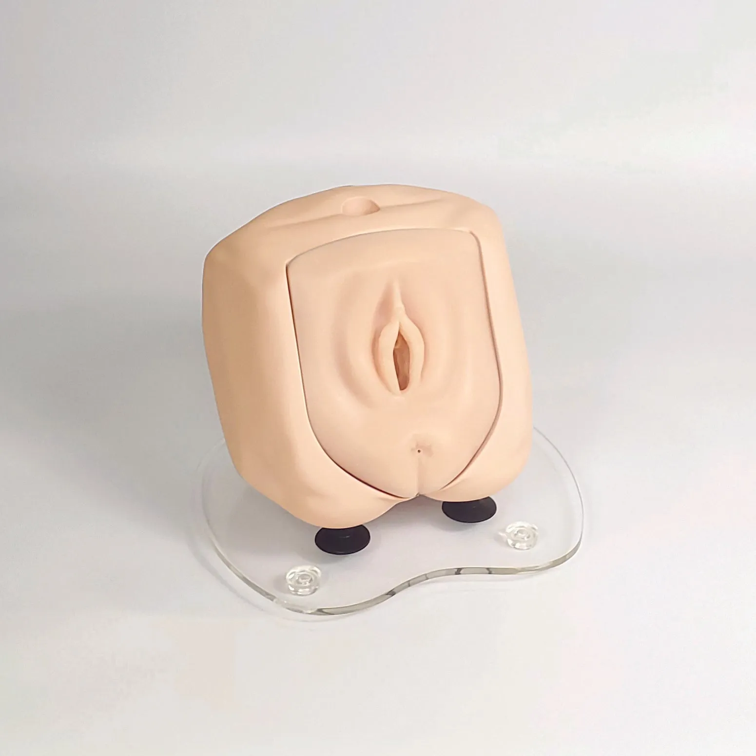 Male and Female Catheterization Simulator Set - Light Skin