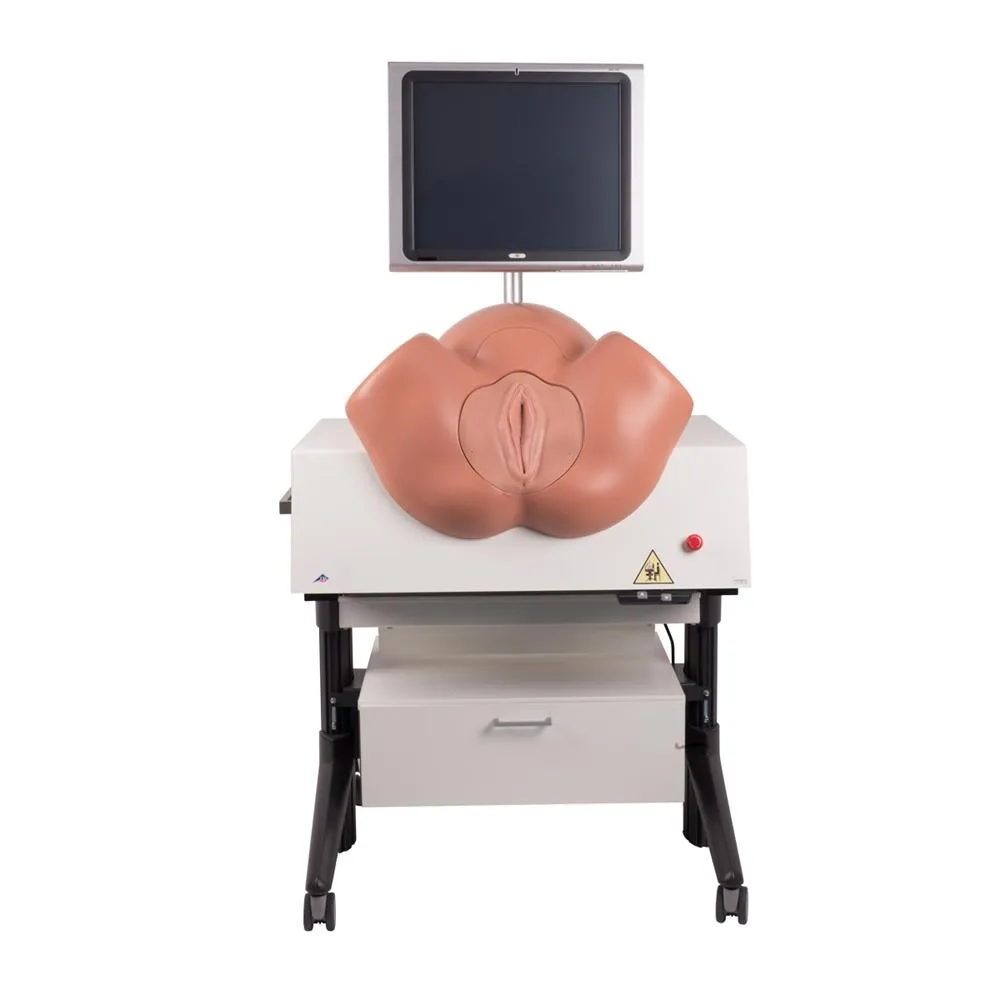 SIMone™ Birthing Simulator