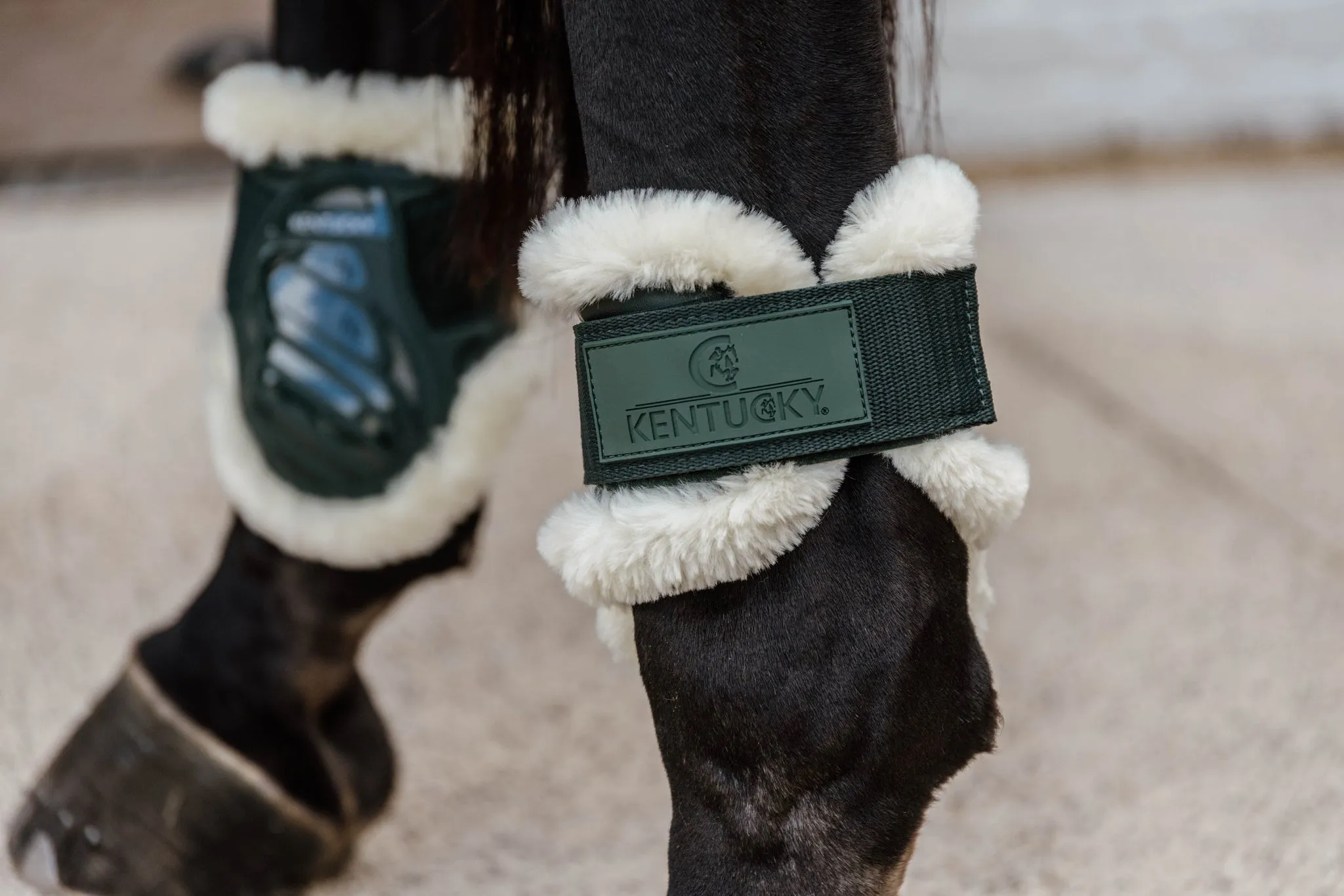 Vegan Sheepskin Young Horse Fetlock Boots