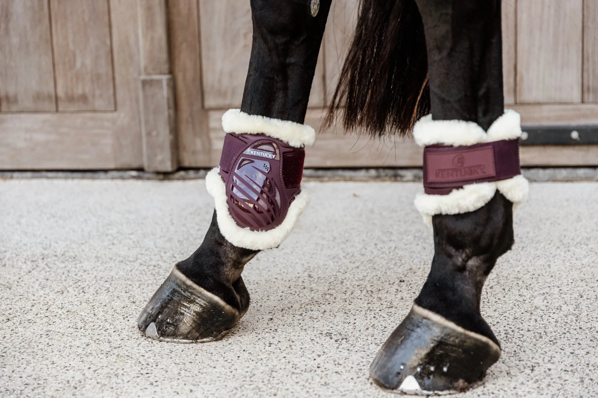 Vegan Sheepskin Young Horse Fetlock Boots